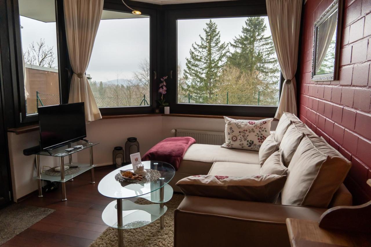 Fewo Harzer Weitblick, Hunde Willkommen, W-Lan, 2X Smart Tv, Dtv 4 Sterne, 4 Pfoten Braunlage Exterior foto